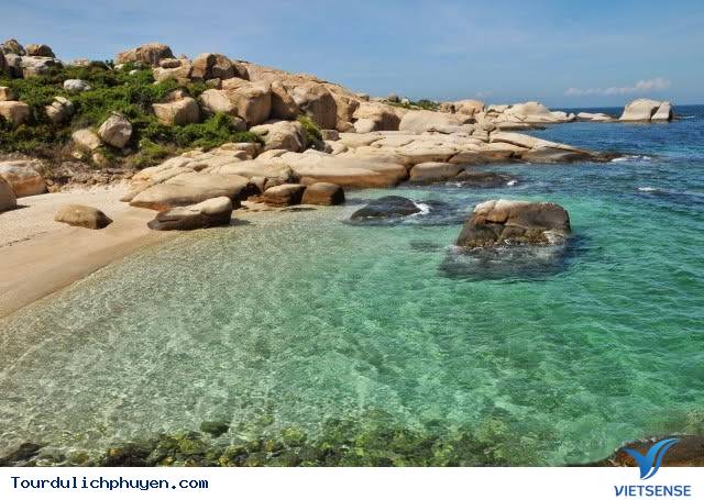 hành trình Phú Yên - Điểm Đến Hấp Dẫn Mỗi Dịp Nghỉ Lễ - Ảnh 5 hành trình Phú Yên - Điểm Đến Hấp Dẫn Mỗi Dịp Nghỉ Lễ - Ảnh 5