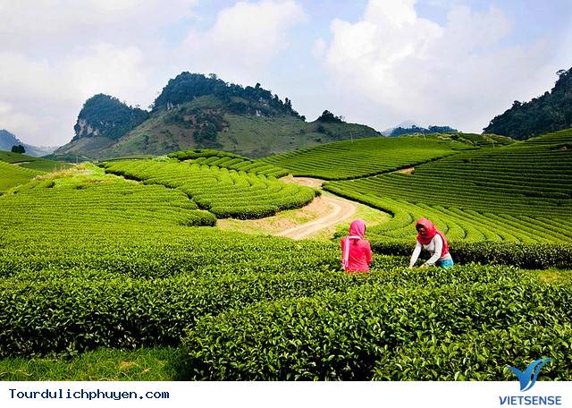 hành trình Phú Yên - Điểm Đến Hấp Dẫn Mỗi Dịp Nghỉ Lễ - Ảnh 4 hành trình Phú Yên - Điểm Đến Hấp Dẫn Mỗi Dịp Nghỉ Lễ - Ảnh 4