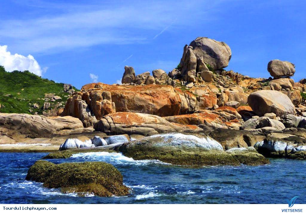 hành trình Phú Yên – Khám Phá Vịnh Vũng Rô - Ảnh 6