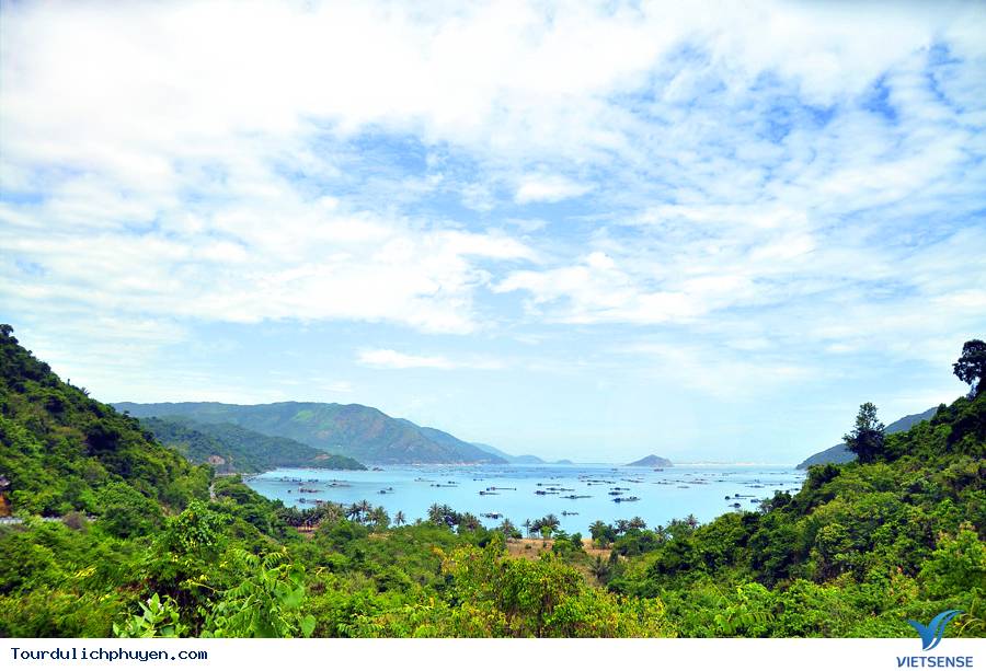 hành trình Phú Yên – Khám Phá Vịnh Vũng Rô - Ảnh 4