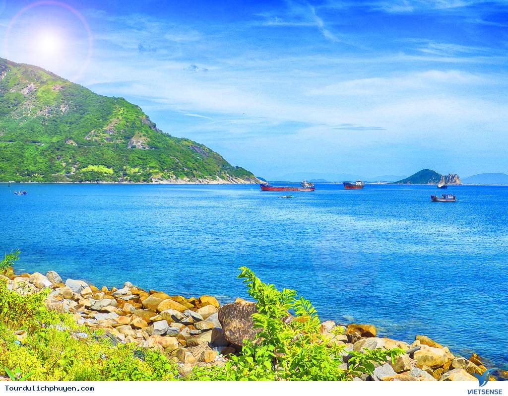 hành trình Phú Yên – Khám Phá Vịnh Vũng Rô - Ảnh 3