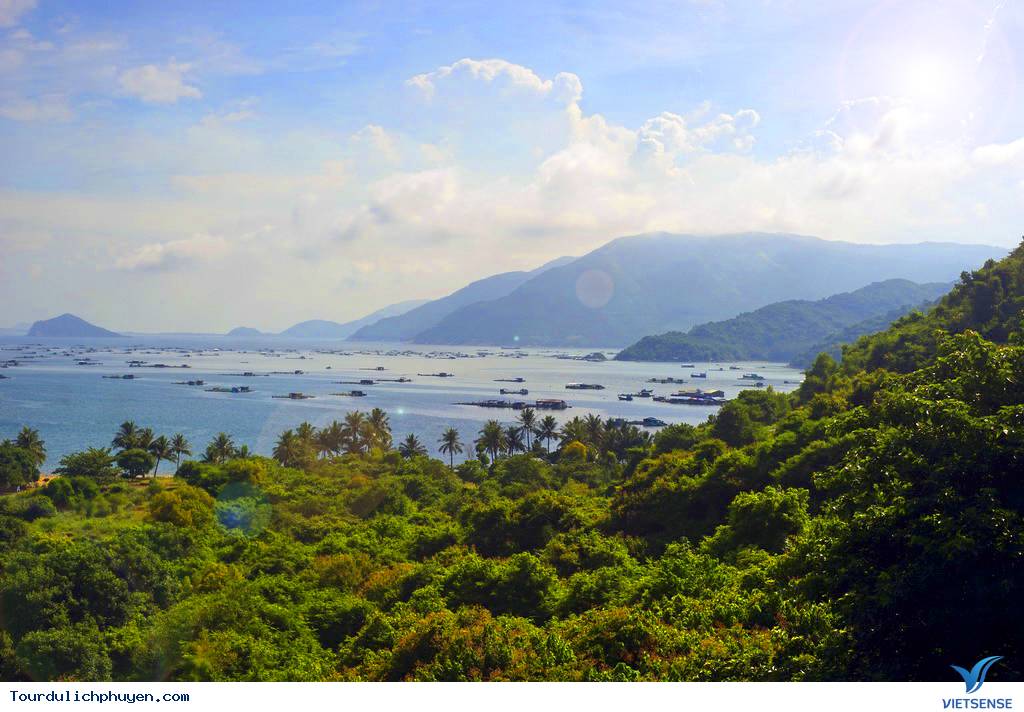 hành trình Phú Yên – Khám Phá Vịnh Vũng Rô - Ảnh 5