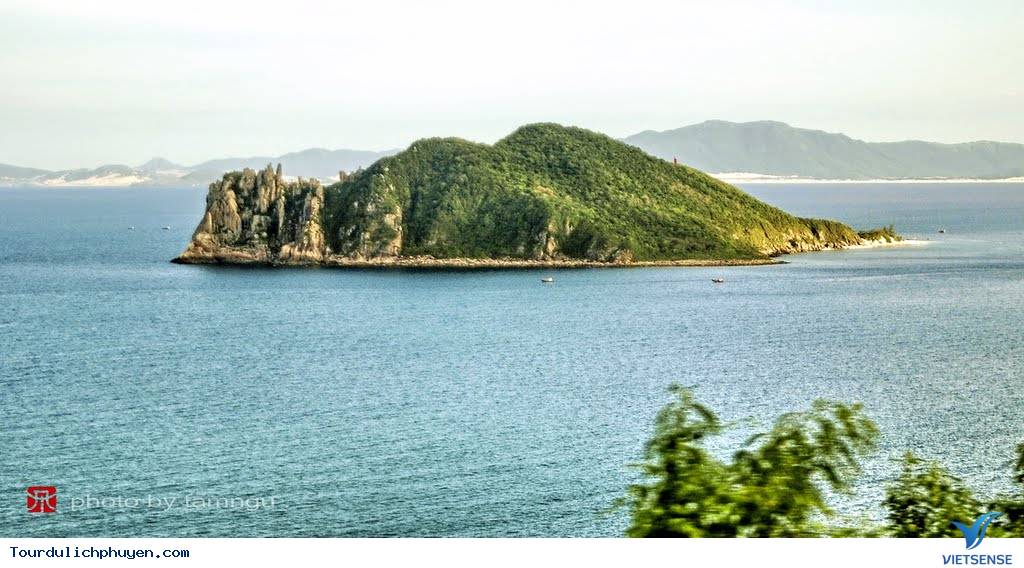 trải nghiệm Phú Yên Cắm Trại Cực Đã Ở 5 Hòn Đảo Tuyệt Đẹp - Ảnh 7 hành trình Phú Yên Cắm Trại Cực Đã Ở 5 Hòn Đảo Tuyệt Đẹp - Ảnh 7