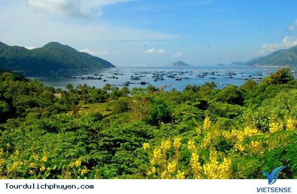 hành trình Phú Yên Đúng Dịp Tết Dương Với 3 Lịch Trình Mẫu Tuyệt Vời - Ảnh 3 hành trình Phú Yên Đúng Dịp Tết Dương Với 3 Lịch Trình Mẫu Tuyệt Vời - Ảnh 3