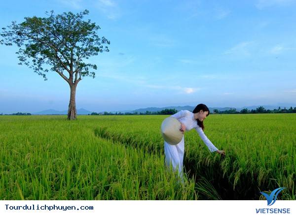hành trình Phú Yên Đúng Dịp Tết Dương Với 3 Lịch Trình Mẫu Tuyệt Vời - Ảnh 4 hành trình Phú Yên Đúng Dịp Tết Dương Với 3 Lịch Trình Mẫu Tuyệt Vời - Ảnh 4