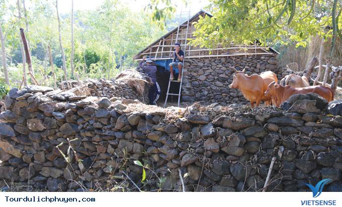 chuồng bò đá Phú Yên