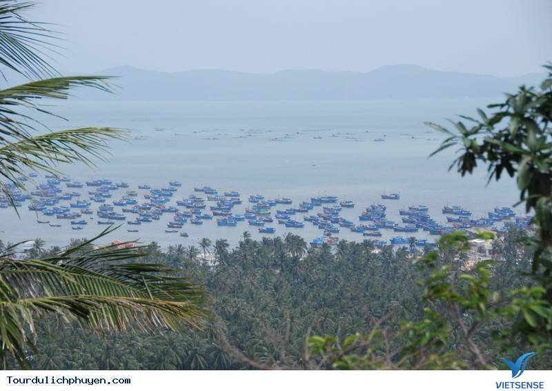 Du Lịch Phú Yên Không Đơn Giản Chỉ Có Gềnh Đá Đĩa - Ảnh 9 Du Lịch Phú Yên Không Đơn Giản Chỉ Có Gềnh Đá Đĩa - Ảnh 9