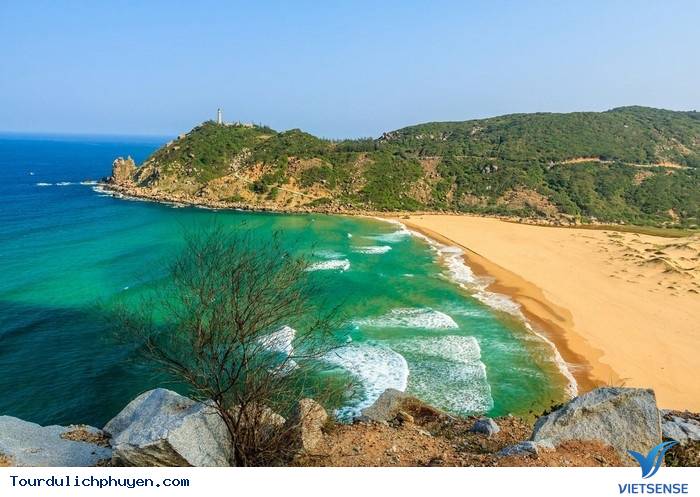 chương trình
 Phú Yên tự túc - Ảnh 2 trải nghiệm Phú Yên tự túc - Ảnh 2