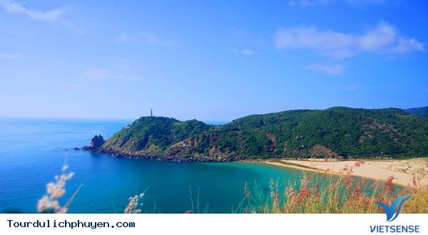 chương trình
 Phú Yên tự túc - Ảnh 5 trải nghiệm Phú Yên tự túc - Ảnh 5