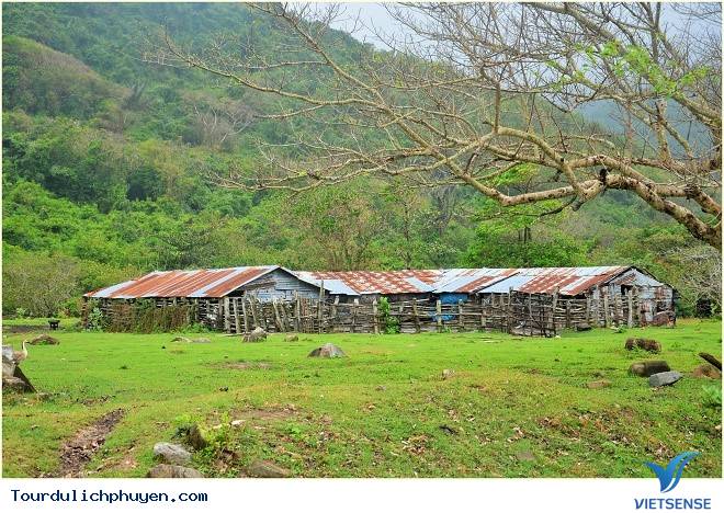 Dường Như Phú Yên Ngày Càng Đẹp Hơn, Quyến Rũ Du Khách Hơn7 Dường Như Phú Yên Ngày Càng Đẹp Hơn, Quyến Rũ Du Khách Hơn