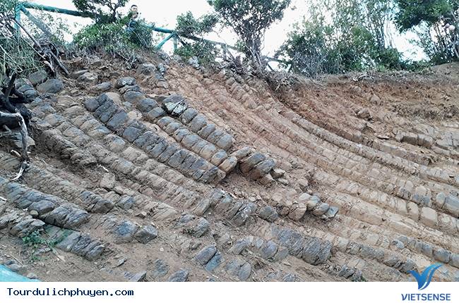 Gành đá đĩa mới được phát hiện ở Phú Yên - Ảnh 3