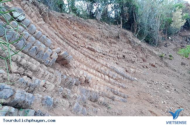 Gành đá đĩa mới được phát hiện ở Phú Yên - Ảnh 2