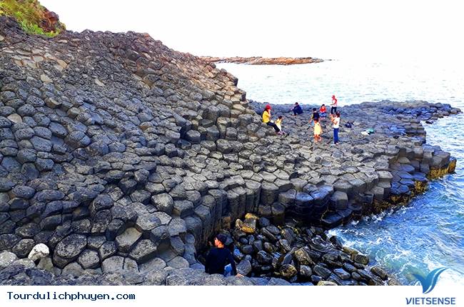 Gành đá đĩa mới được phát hiện ở Phú Yên - Ảnh 9