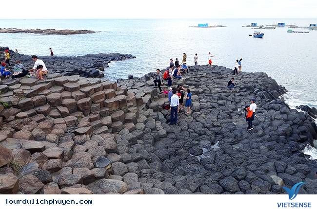 Gành đá đĩa mới được phát hiện ở Phú Yên - Ảnh 8