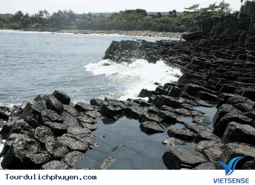 Gành Đá Đĩa, Phú Yên - hút mọi ánh nhìn nơi khách thăm quan…! - Ảnh 4