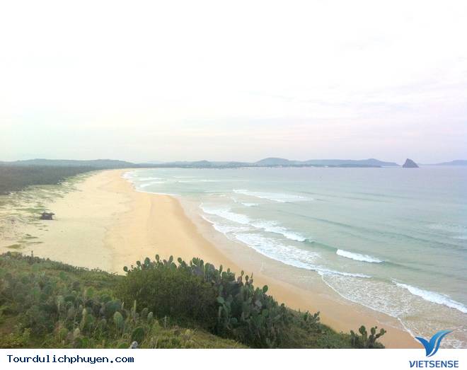 Ghềnh Đá Đĩa Phú Yên - Ảnh 12 Ghềnh Đá Đĩa Phú Yên - Ảnh 12