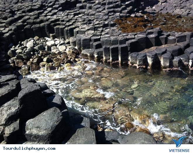 Ghềnh Đá Đĩa Phú Yên - Ảnh 8 Ghềnh Đá Đĩa Phú Yên - Ảnh 8