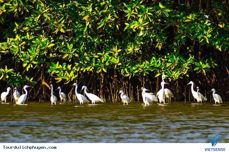 Giới thiệu về đầm Thị nại - Ảnh 1