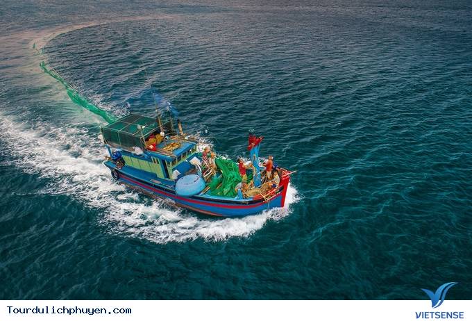 Hóa ra mùa cá cơm ở Phú Yên đẹp đến thế! - Ảnh 5