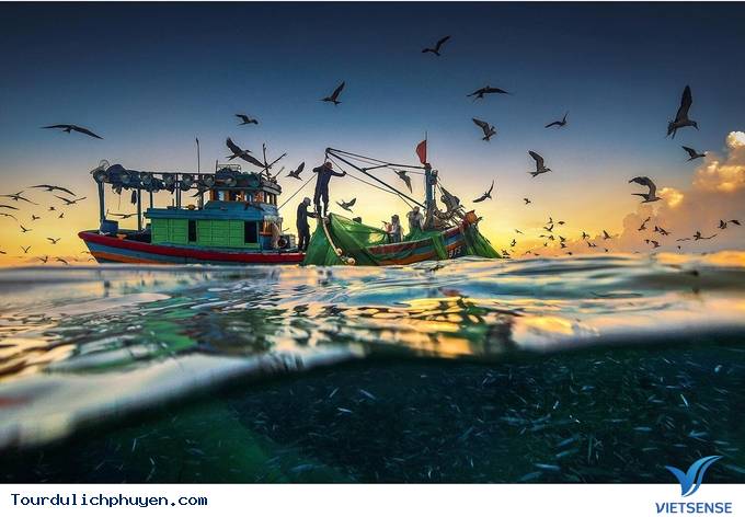 Hóa ra mùa cá cơm ở Phú Yên đẹp đến thế! - Ảnh 2