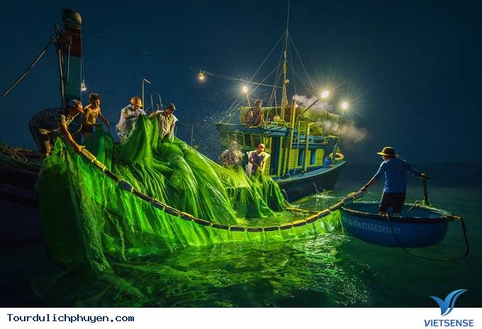 Hóa ra mùa cá cơm ở Phú Yên đẹp đến thế! - Ảnh 6