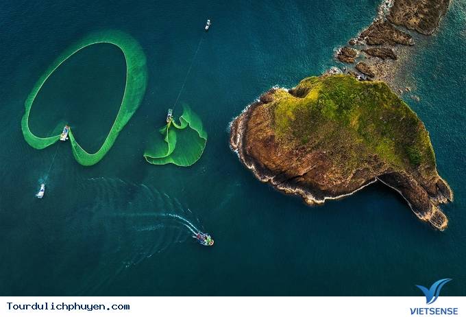 Hóa ra mùa cá cơm ở Phú Yên đẹp đến thế! - Ảnh 3