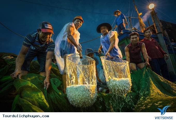 Hóa ra mùa cá cơm ở Phú Yên đẹp đến thế! - Ảnh 7