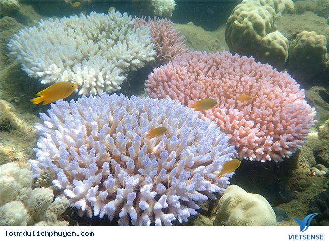 Khám phá Bãi Ôm - Ảnh 2