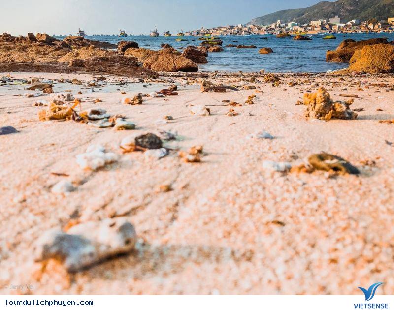 Khám Phá Bình Định Và Những Con Đường Xuyên Biển Tuyệt Nhất Việt Nam - Ảnh 2 Khám Phá Bình Định Và Những Con Đường Xuyên Biển Tuyệt Nhất Việt Nam - Ảnh 2