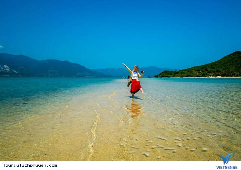 Khám Phá Bình Định Và Những Con Đường Xuyên Biển Tuyệt Nhất Việt Nam - Ảnh 8 Khám Phá Bình Định Và Những Con Đường Xuyên Biển Tuyệt Nhất Việt Nam - Ảnh 8