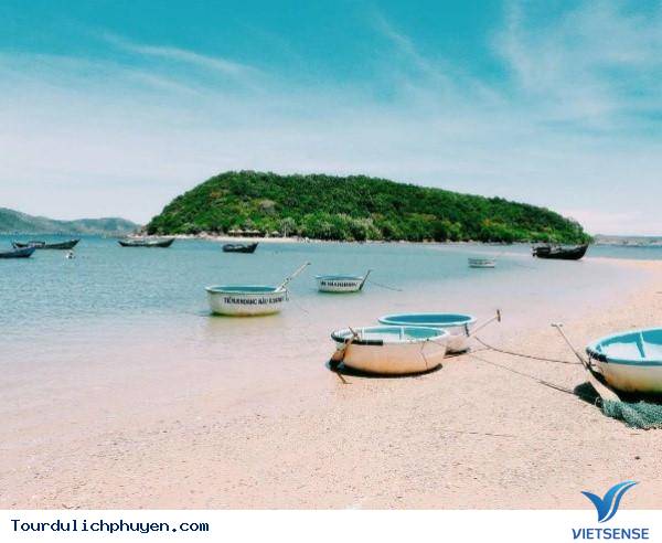 Khám Phá Bình Định Và Những Con Đường Xuyên Biển Tuyệt Nhất Việt Nam - Ảnh 5 Khám Phá Bình Định Và Những Con Đường Xuyên Biển Tuyệt Nhất Việt Nam - Ảnh 5