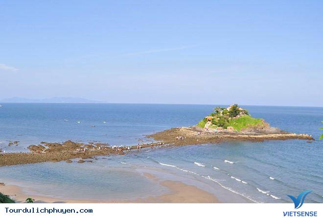 Khám Phá Bình Định Và Những Con Đường Xuyên Biển Tuyệt Nhất Việt Nam - Ảnh 14 Khám Phá Bình Định Và Những Con Đường Xuyên Biển Tuyệt Nhất Việt Nam - Ảnh 14