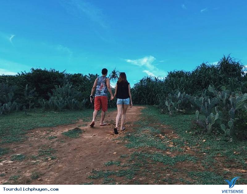 Đi đâu? Chơi gì ? ở Phú Yên Đi đâu? Chơi gì ? ở Phú Yên