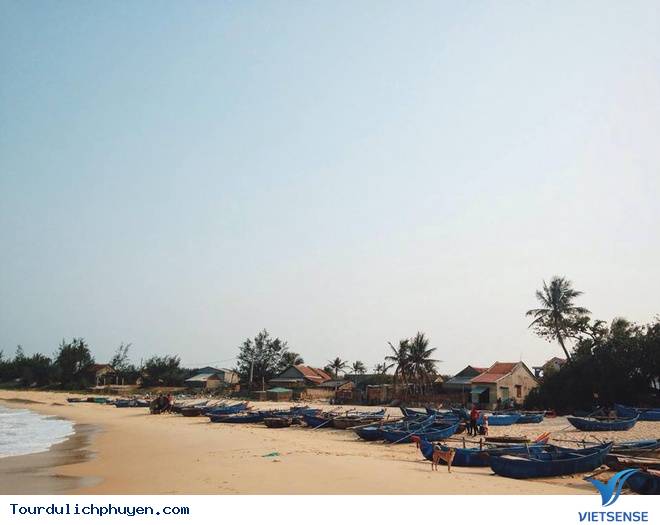 Kinh Nghiệm Khám Phá Cù Lao Mái Nhà - Đảo Robinson Của Phú Yên - Ảnh 5