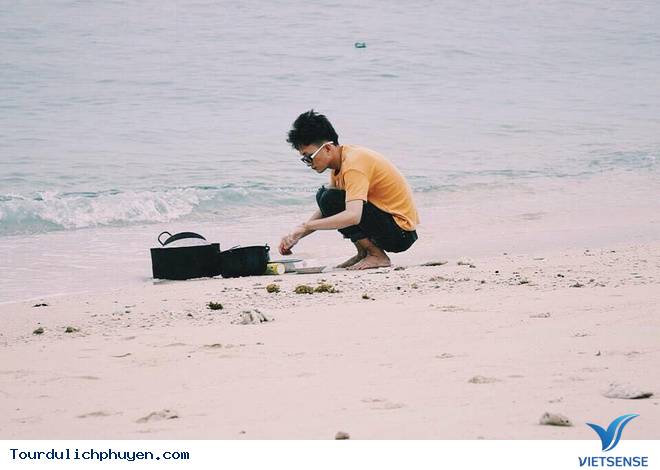 Kinh Nghiệm Khám Phá Cù Lao Mái Nhà - Đảo Robinson Của Phú Yên - Ảnh 9