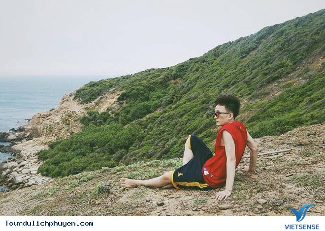 Kinh Nghiệm Khám Phá Cù Lao Mái Nhà - Đảo Robinson Của Phú Yên - Ảnh 15