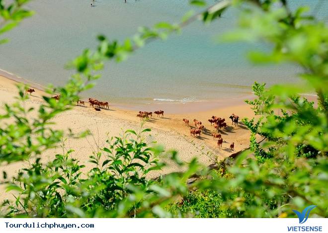 Ngây ngất với vẻ đẹp Phú Yên trong "Tôi Thấy Hoa Vàng Trên Cỏ Xanh" - Ảnh 9 Ngây ngất với vẻ đẹp Phú Yên trong "Tôi Thấy Hoa Vàng Trên Cỏ Xanh" - Ảnh 9