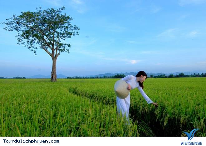 Ngây ngất với vẻ đẹp Phú Yên trong "Tôi Thấy Hoa Vàng Trên Cỏ Xanh" - Ảnh 7 Ngây ngất với vẻ đẹp Phú Yên trong "Tôi Thấy Hoa Vàng Trên Cỏ Xanh" - Ảnh 7