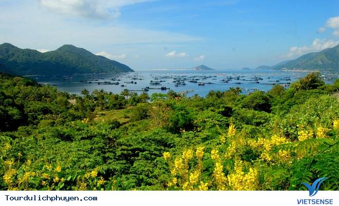 Ngây ngất với vẻ đẹp Phú Yên trong "Tôi Thấy Hoa Vàng Trên Cỏ Xanh" - Ảnh 2 Ngây ngất với vẻ đẹp Phú Yên trong "Tôi Thấy Hoa Vàng Trên Cỏ Xanh" - Ảnh 2