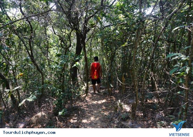 Nhất Tự Sơn - Vẻ Đẹp Con Đường Dưới Mực Nước Biển - Ảnh 7 Nhất Tự Sơn - Vẻ Đẹp Con Đường Dưới Mực Nước Biển - Ảnh 7