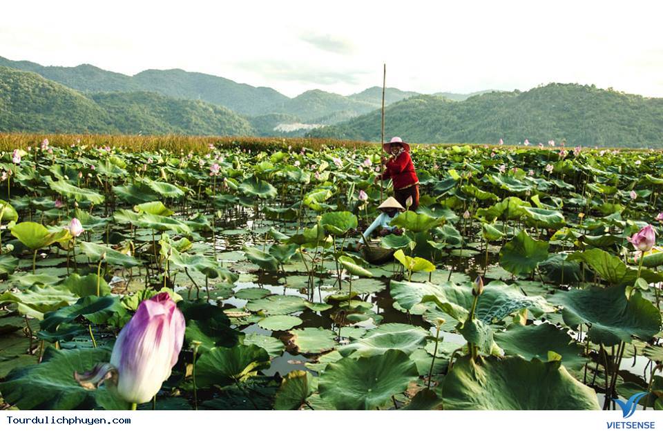 Những Địa Điểm Đẹp Mới Toanh Chưa Chắc Ai Đã Biết Ở Phú Yên - Ảnh 6 Những Địa Điểm Đẹp Mới Toanh Chưa Chắc Ai Đã Biết Ở Phú Yên - Ảnh 6