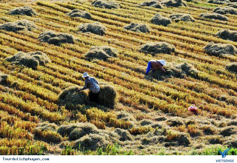 Những Địa Điểm Đẹp Mới Toanh Chưa Chắc Ai Đã Biết Ở Phú Yên - Ảnh 5 Những Địa Điểm Đẹp Mới Toanh Chưa Chắc Ai Đã Biết Ở Phú Yên - Ảnh 5