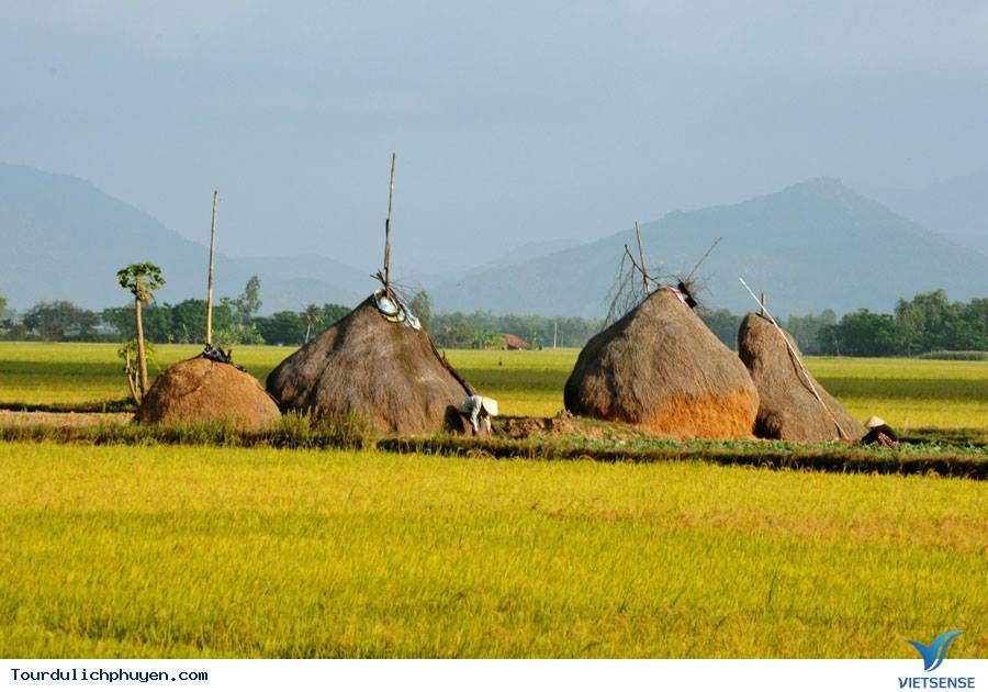Những Địa Điểm Đẹp Mới Toanh Chưa Chắc Ai Đã Biết Ở Phú Yên - Ảnh 2 Những Địa Điểm Đẹp Mới Toanh Chưa Chắc Ai Đã Biết Ở Phú Yên - Ảnh 2