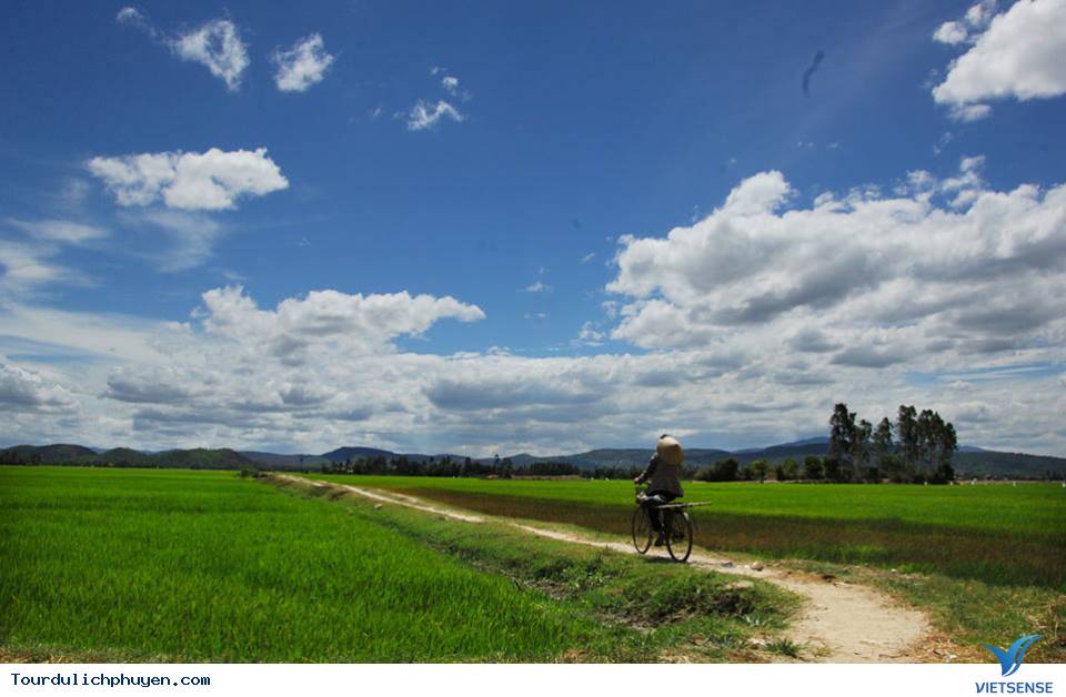 Những Địa Điểm Đẹp Mới Toanh Chưa Chắc Ai Đã Biết Ở Phú Yên - Ảnh 4 Những Địa Điểm Đẹp Mới Toanh Chưa Chắc Ai Đã Biết Ở Phú Yên - Ảnh 4