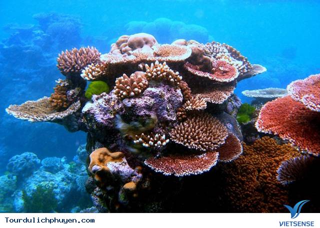 Hòn Khô – nét đẹp tiềm tàng