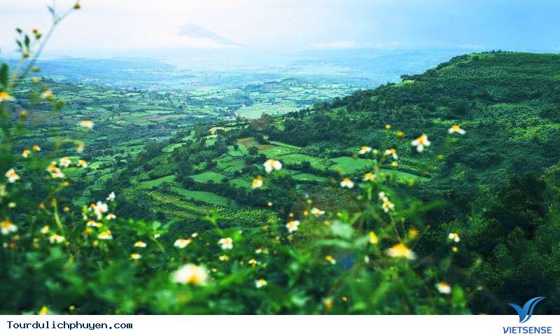 Cao Nguyên Vân Hòa Cao Nguyên Vân Hòa