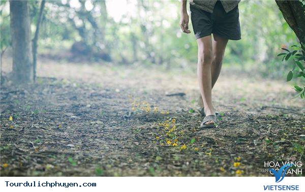 Khu rừng và suối nước đập Đồng Cam - Ảnh 1