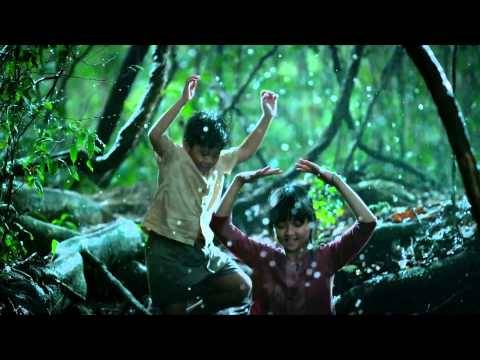 Khu rừng và suối nước đập Đồng Cam - Ảnh 2