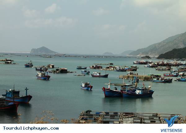 Phú Yên - Một Chuyến Đi 10 Điểm Đến Và Vô Vàn Ấn Tượng - Ảnh 8