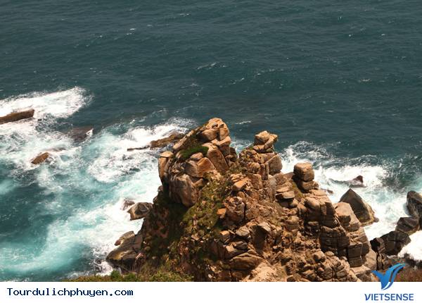 Phú Yên - Một Chuyến Đi 10 Điểm Đến Và Vô Vàn Ấn Tượng - Ảnh 4